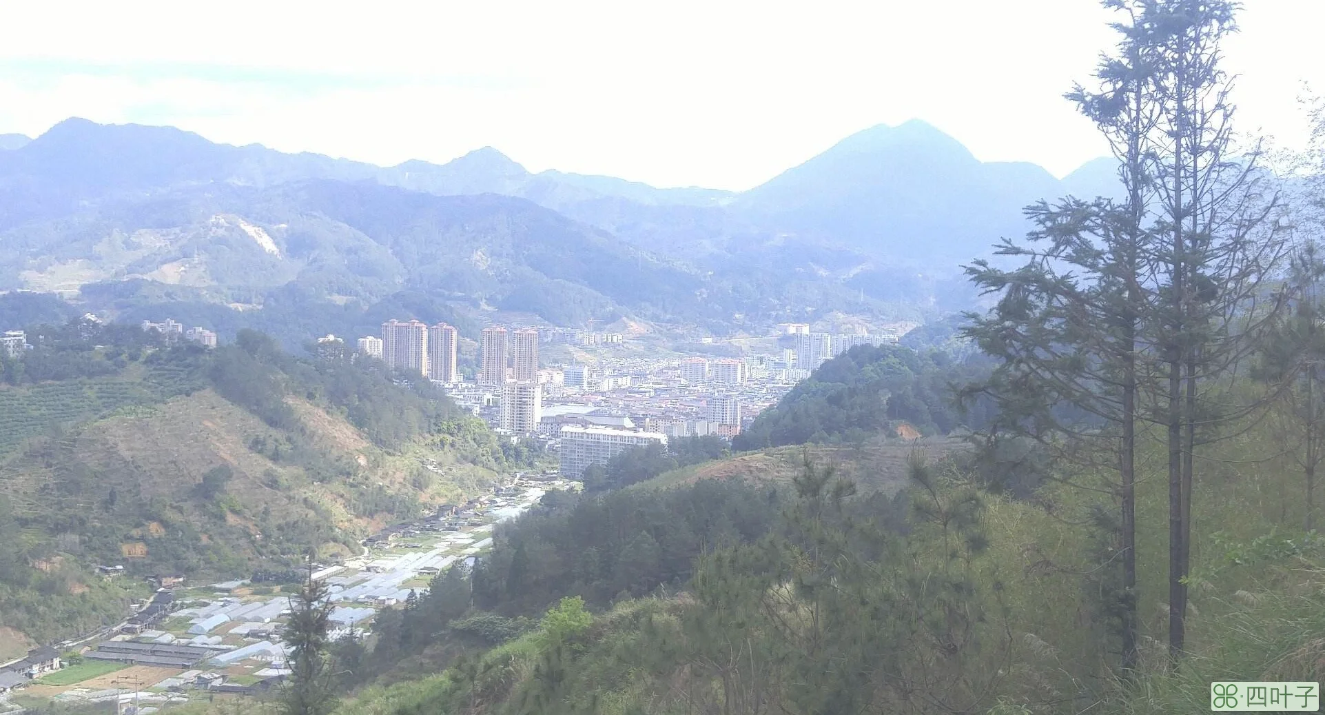 福建三明大田县天气三明市大田天气预报