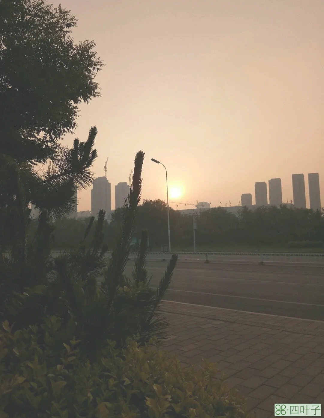 天津塘沽天气预报沧州天气