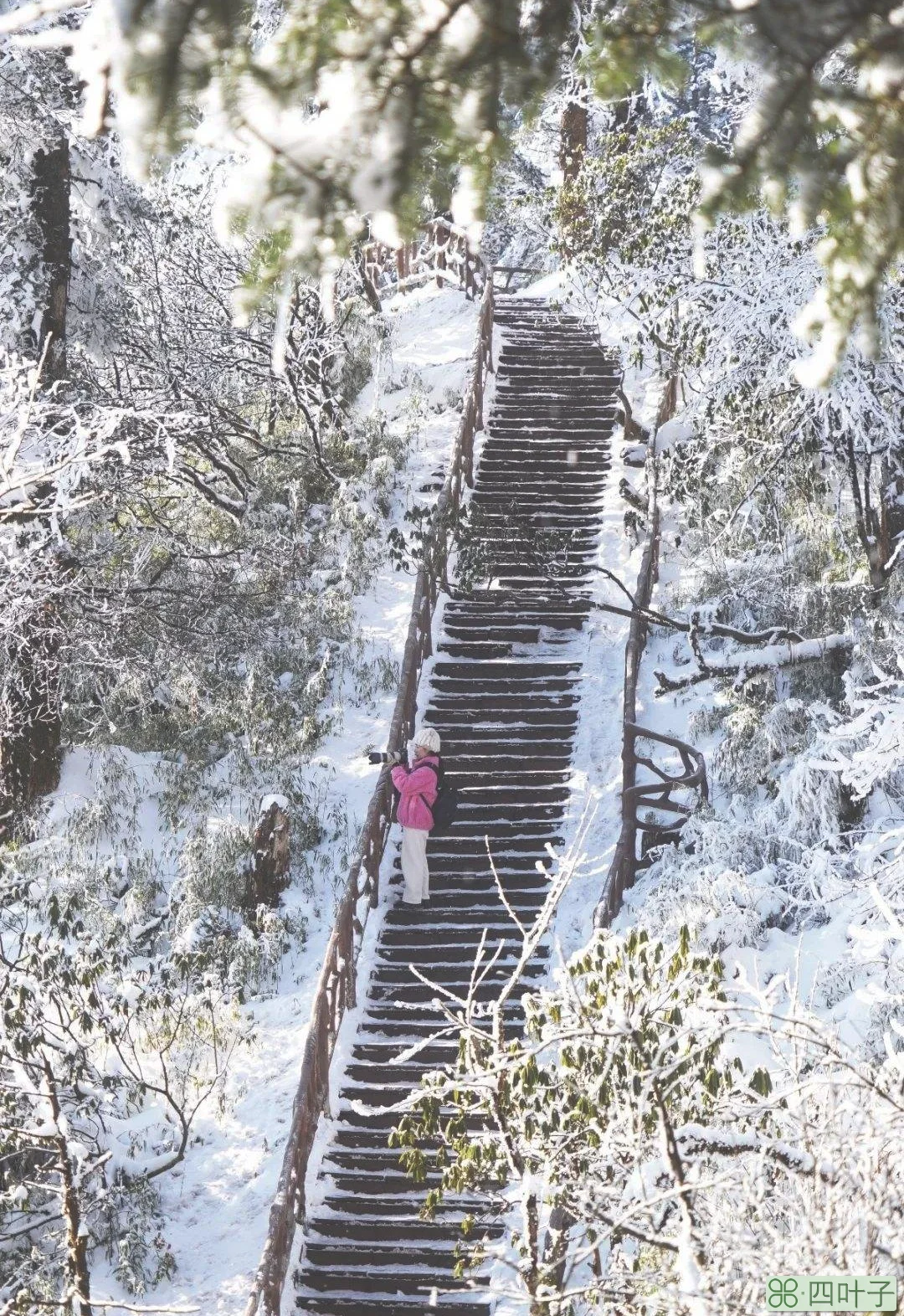 瓦屋山近期天气预报瓦屋山天气预报一周天气