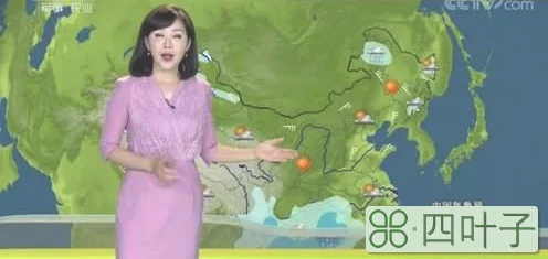 天气预报中央气象台视频直播天气预报视频2013