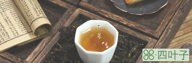 新鲜白茶如何泡(新鲜白茶怎么泡)