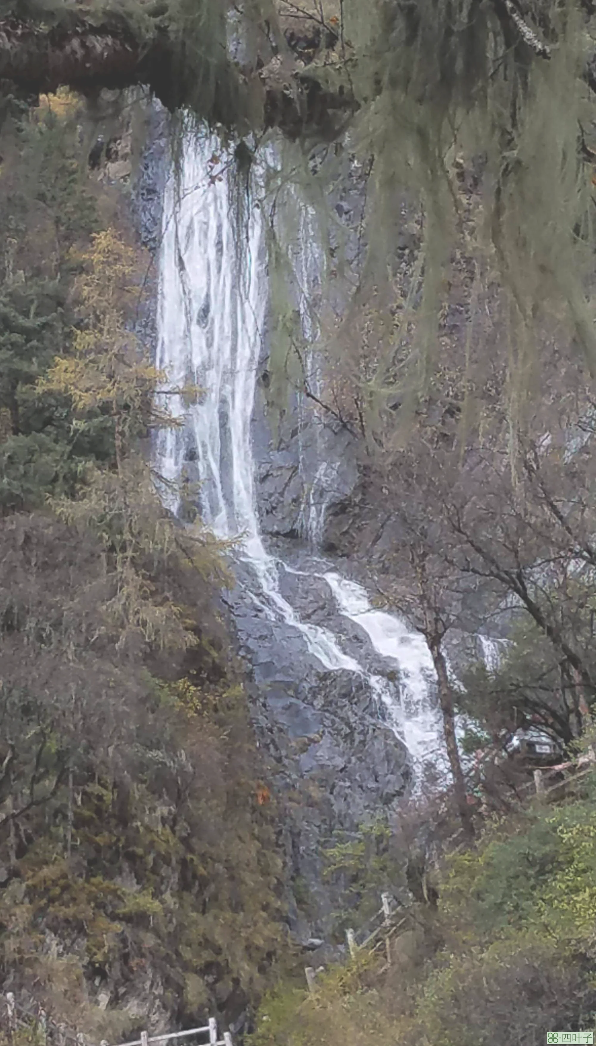 四姑娘山天气温度四姑娘山天气