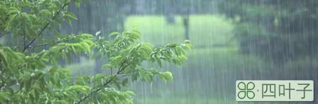 梅雨是啥节气