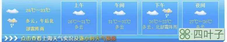 2月19号天气情况1月24日天气