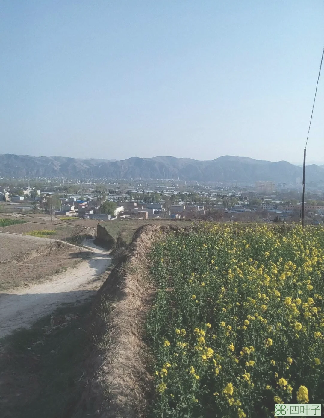 下周天水市天气预报天水这一周天气预报