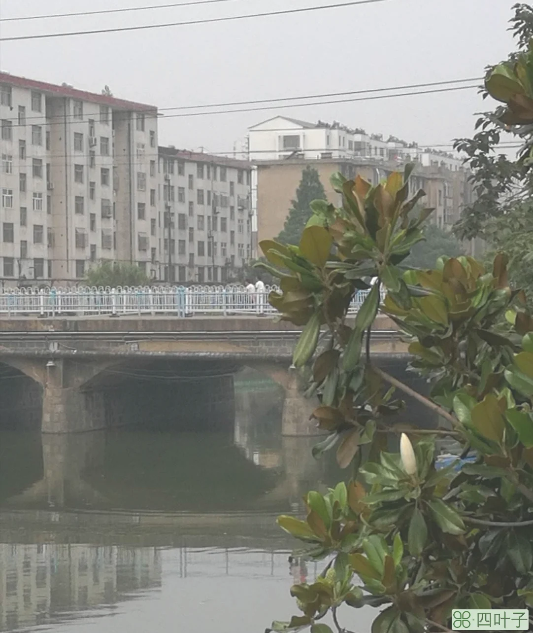 临沭县天气预报东海县天气预报