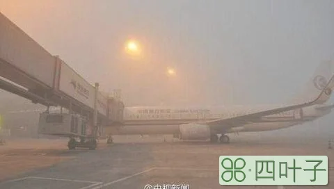 北京大兴机场今日天气北京大兴天气预警