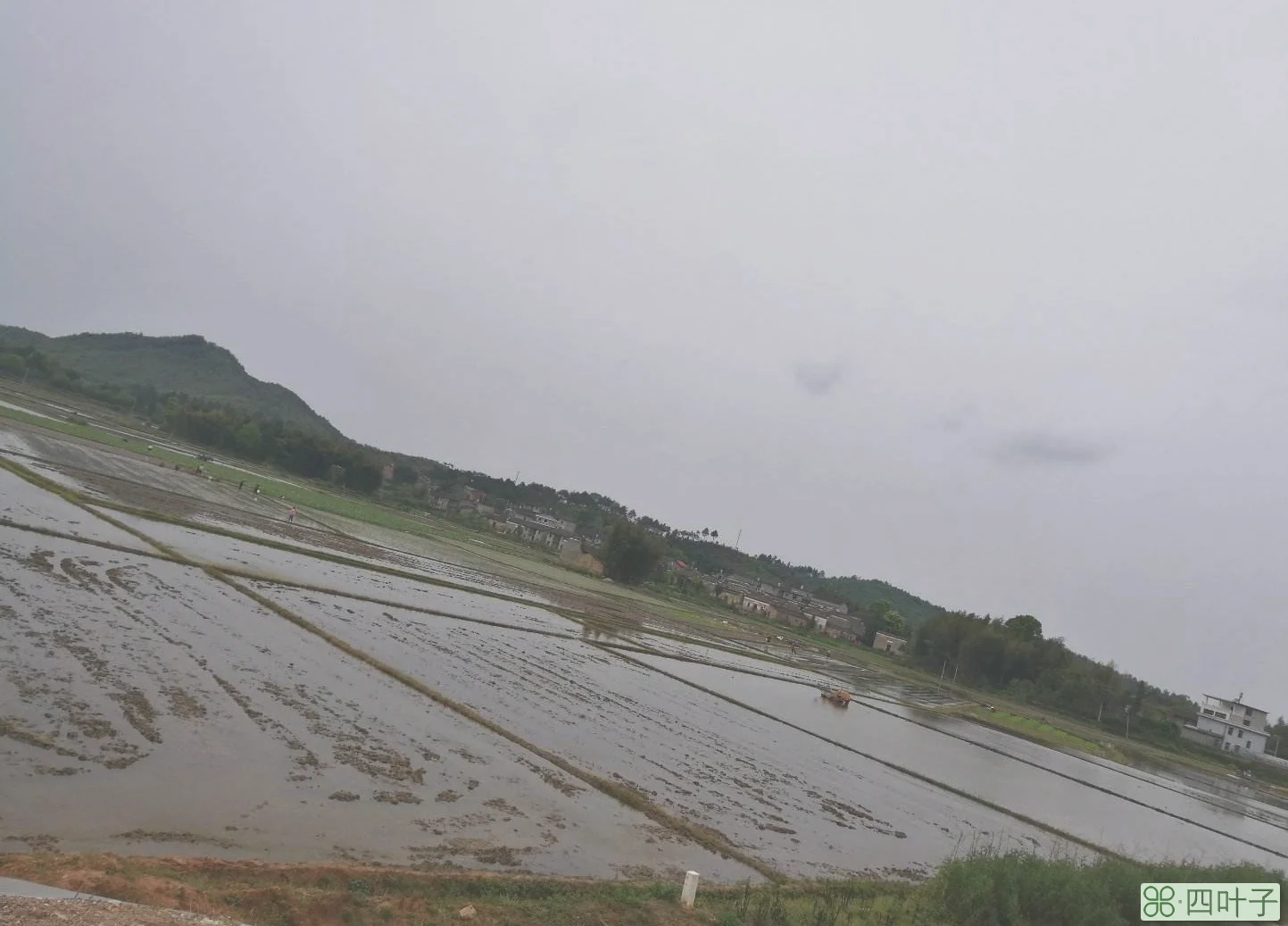 乐安县天气预报30天抚州天气30天精准