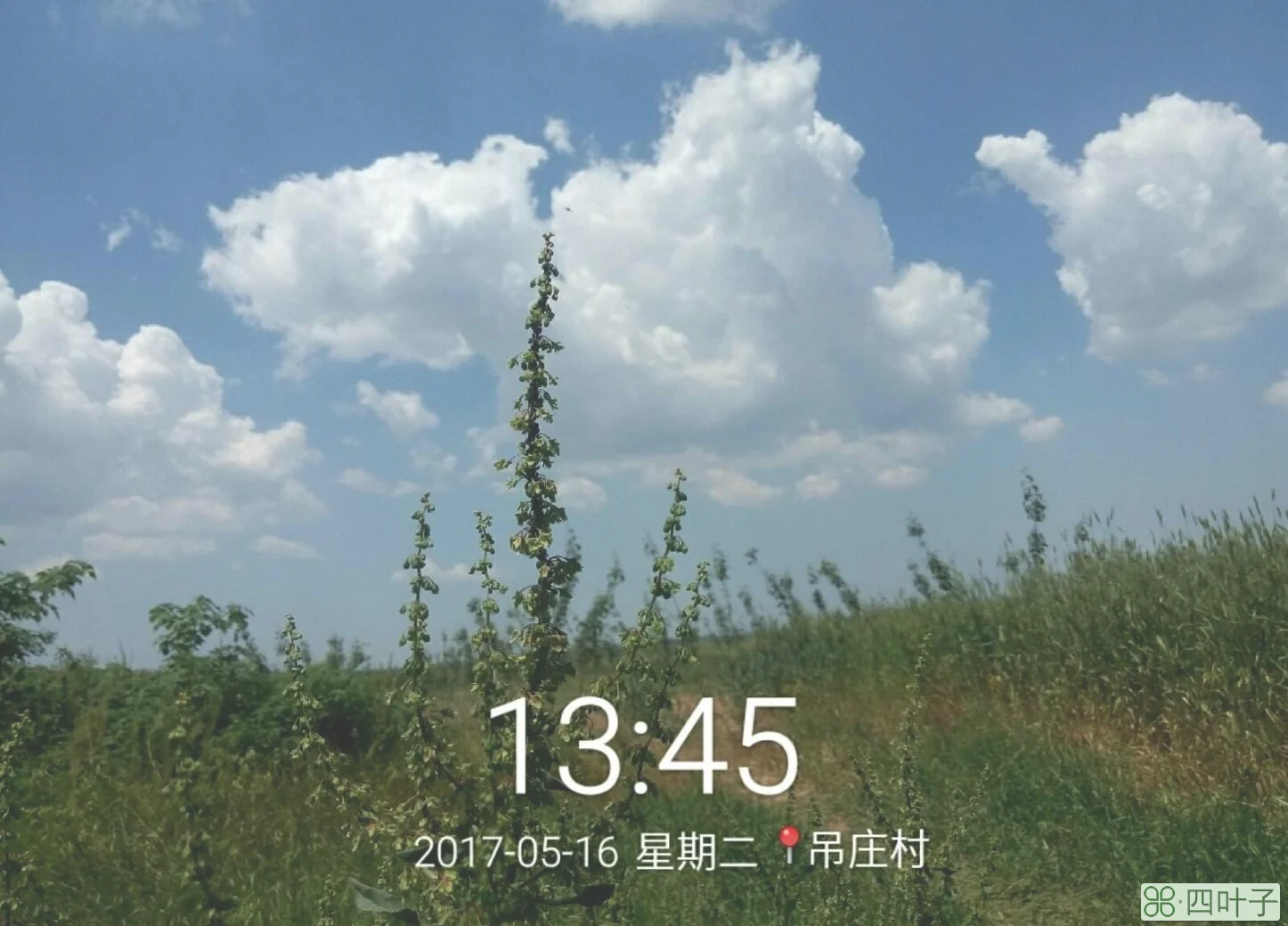 天气预报7天乾县乾县未来七天天气