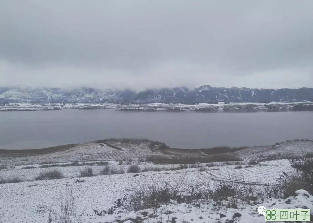 云南曲靖下雪天气预报云南省曲靖地区天气预报