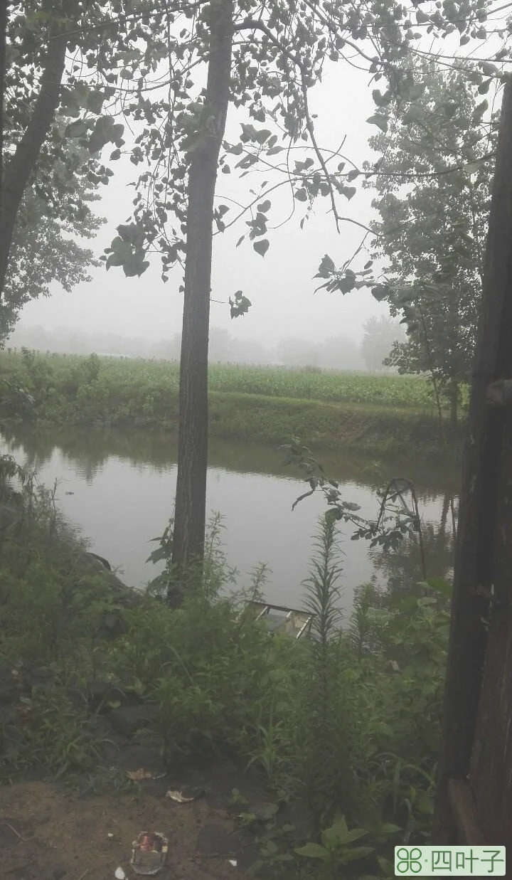 亳州天气预报发布亳州谯城区特大暴雨