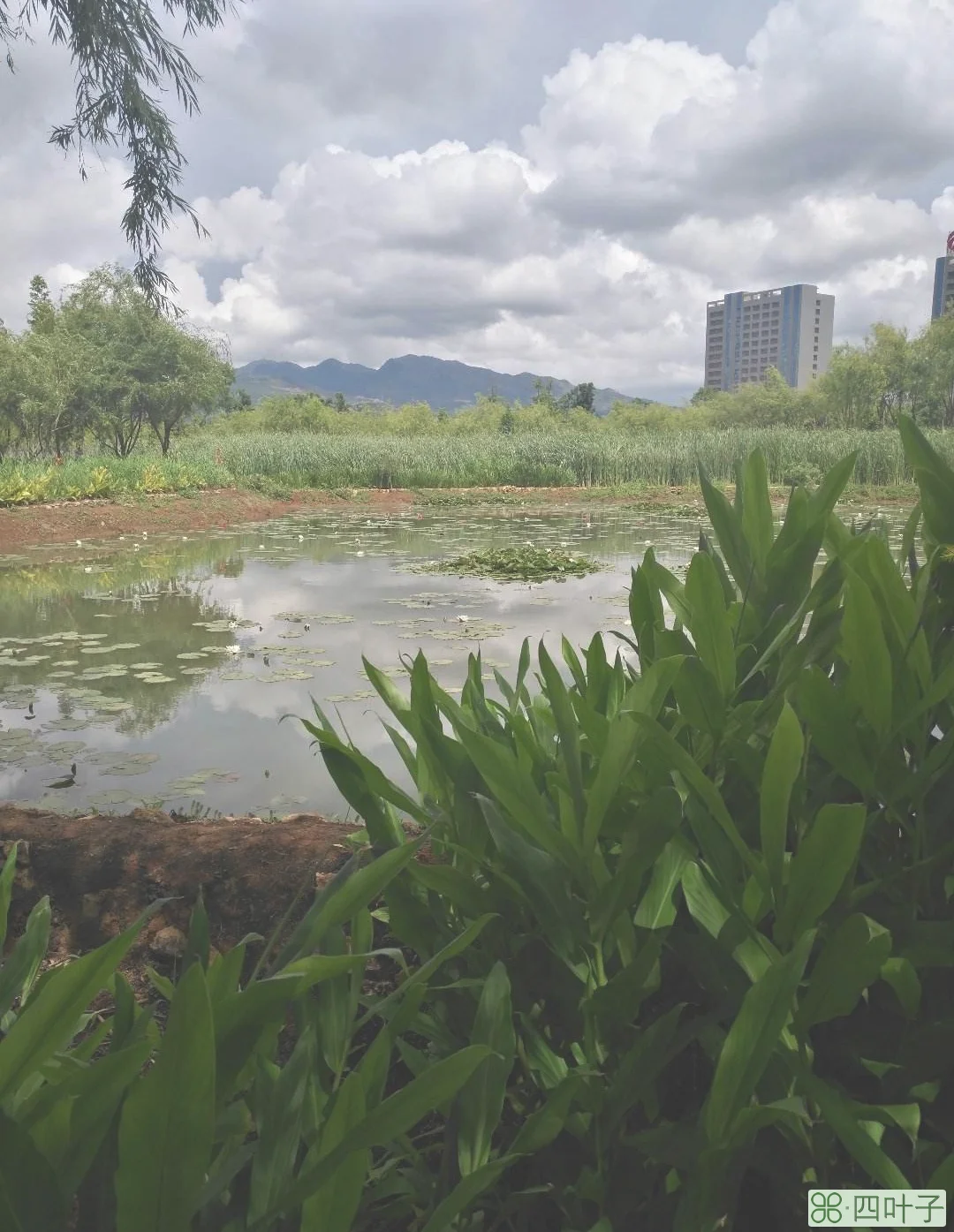 昆明呈贡区明日天气呈贡区天气实时预报