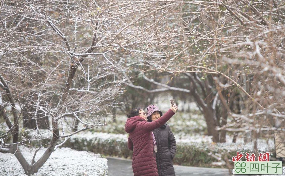 山西雨雪天气图片山东将迎来大范围雨雪