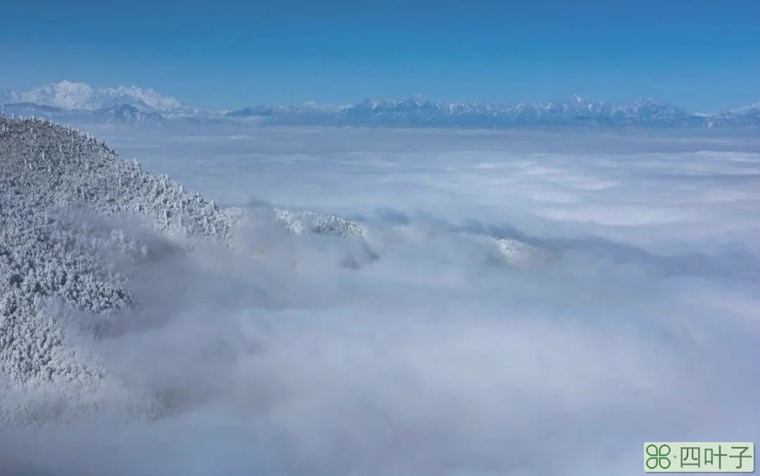 瓦屋山未来一周天气查询明天瓦屋山风景区天气预报