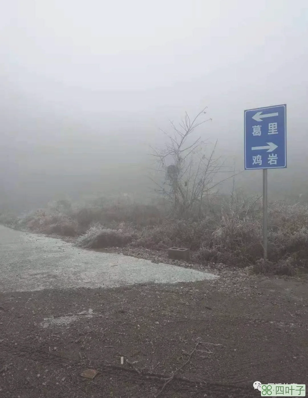 辰溪县天气辰溪县天气预报