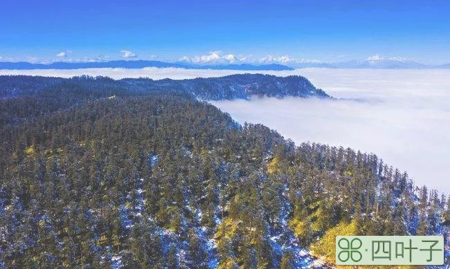 瓦屋山景区天气预报15天瓦屋山景区天气预报15天准确