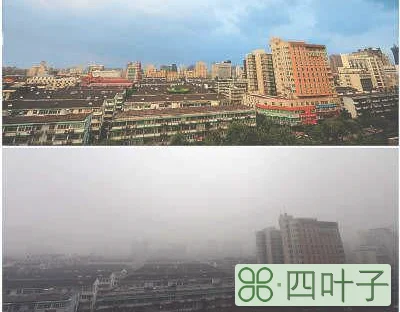 天气杭州天气预报一周天气杭州