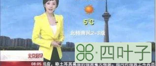 北京顺义天气预报15天查询顺义地区天气预报15天
