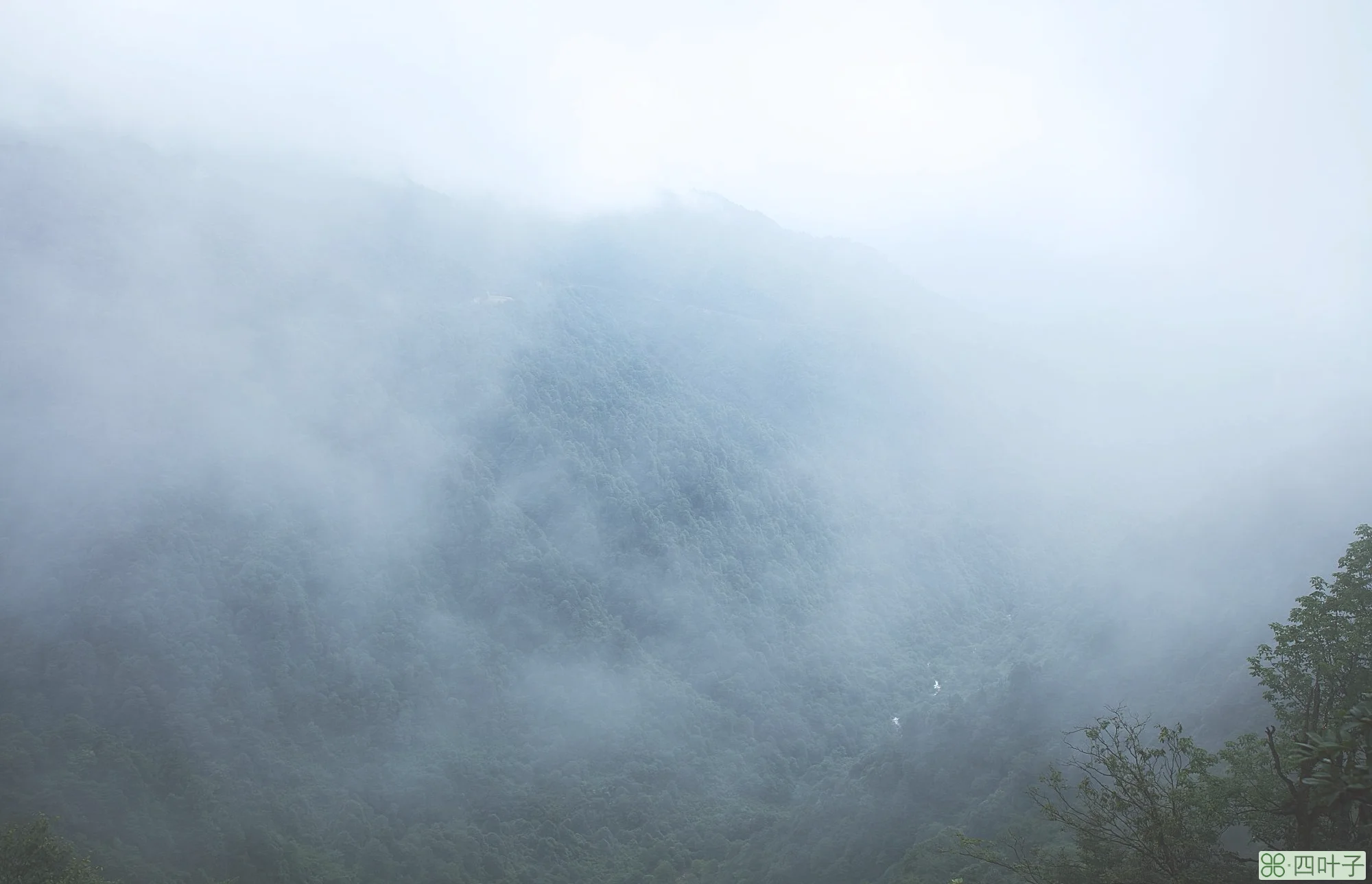 瓦屋山明日天气瓦屋山未来15天天气