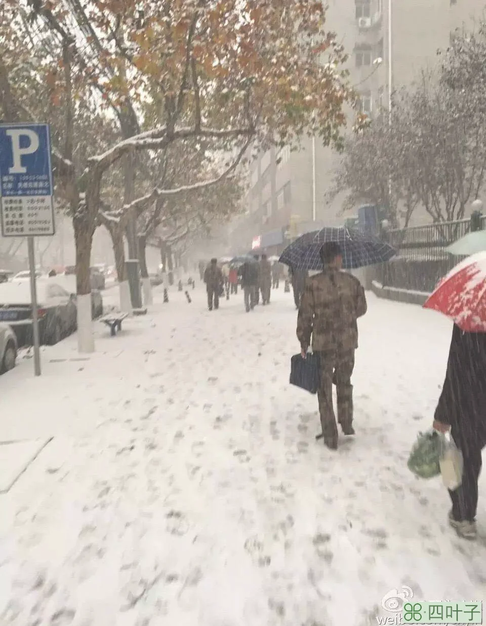 西安天气有雪吗西安天气查询