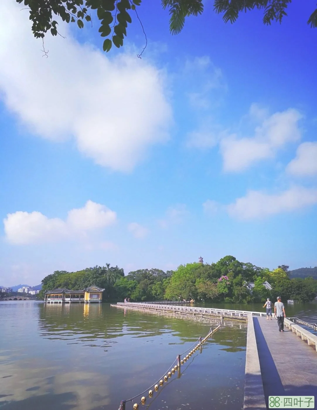 包含今天汕头市龙湖区:二十四小时天气预报的词条