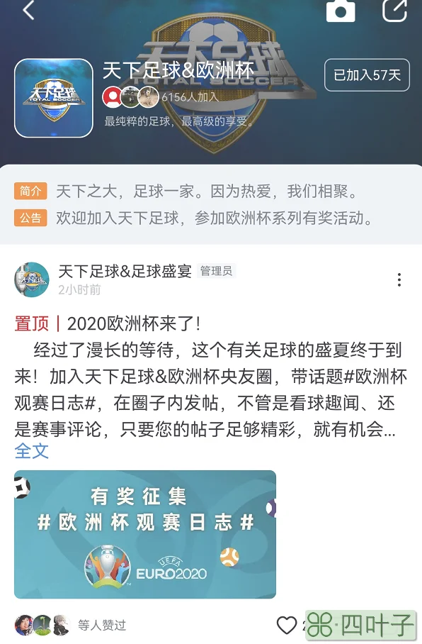 欧洲杯开赛在即，央视频全程直播