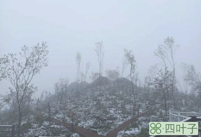 云南曲靖冬天天气怎么样云南曲靖天气冬天冷吗