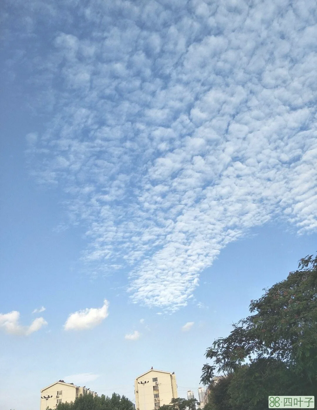 日照最近天气预报日照现在天气预报