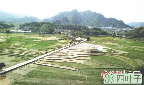 广西巴马天气预报40天查询北海天气