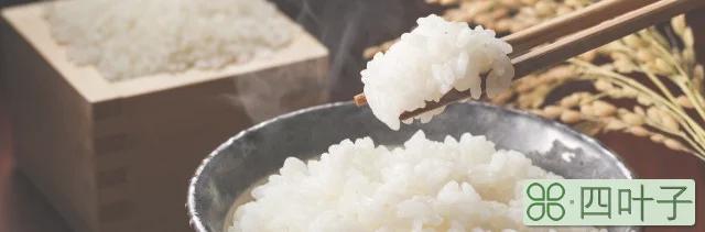 米饭是不是碳水化合物