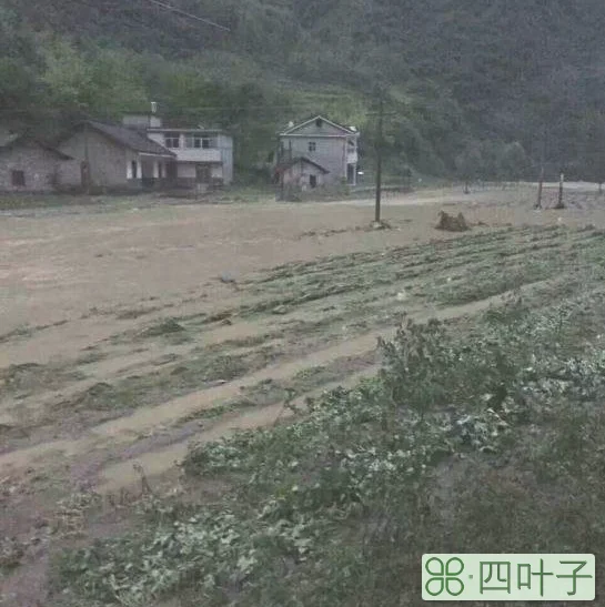 五峰北风垭天气预报五峰县天气预报