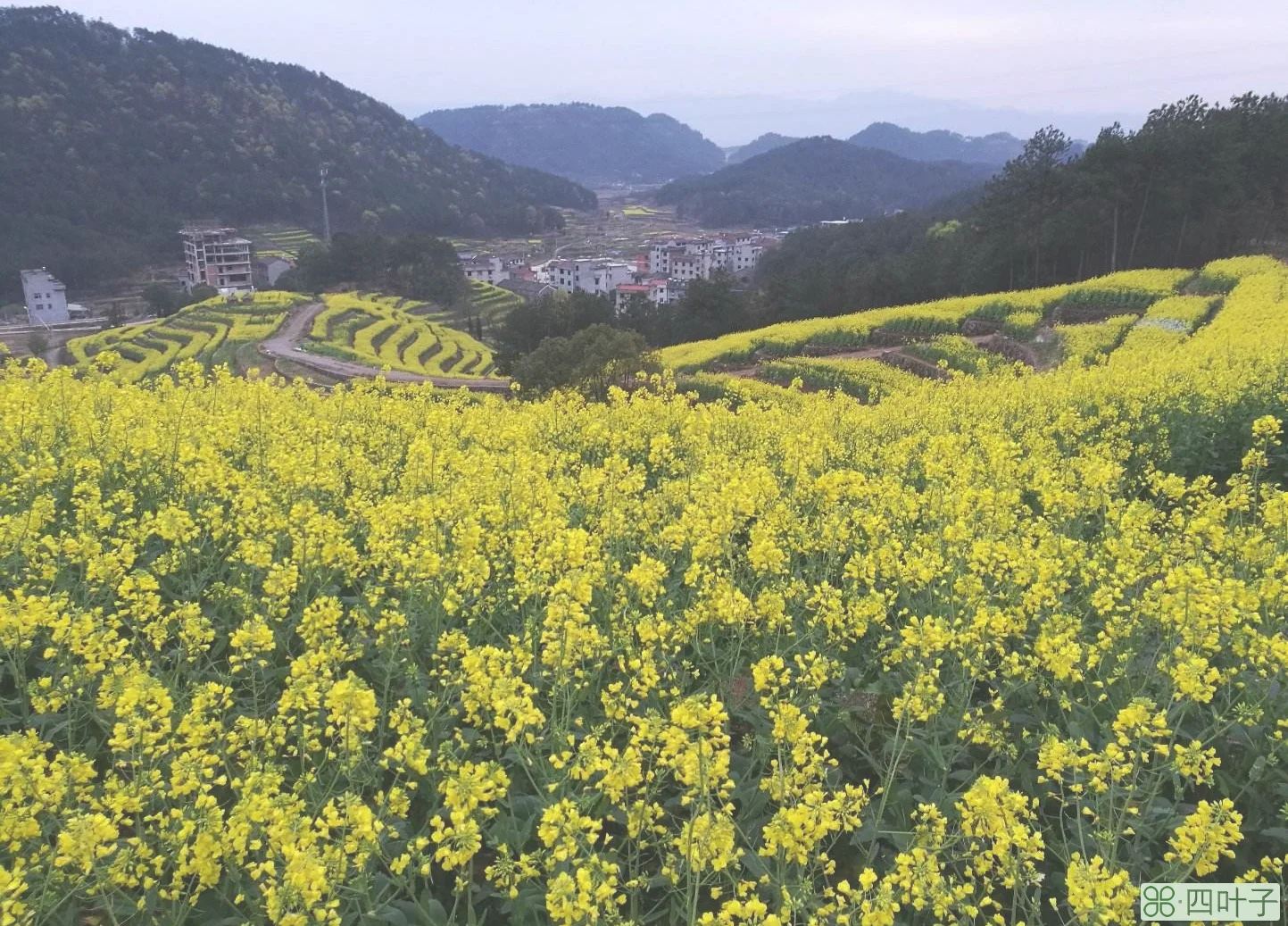 金华3月份天气预报30天查询金华三十天天气