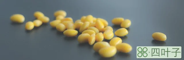 黄豆具体泡多久才能用高压锅煮