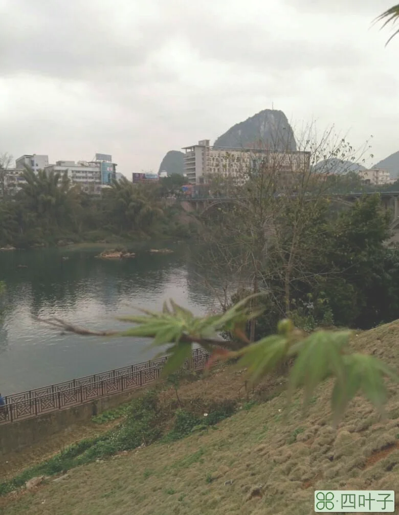 广西壮族自治区百色天气预报百色市天气预报