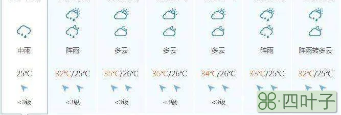 山东海洋天气预报最新更新山东海洋天气预报最新版