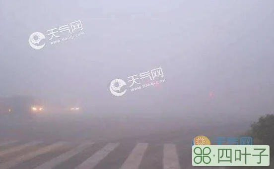 北京天气预报有雾吗北京今天天气是雾还是霾