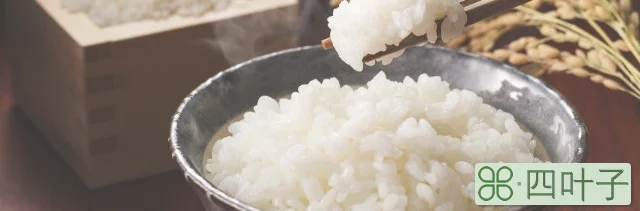 制作蒸米饭时间