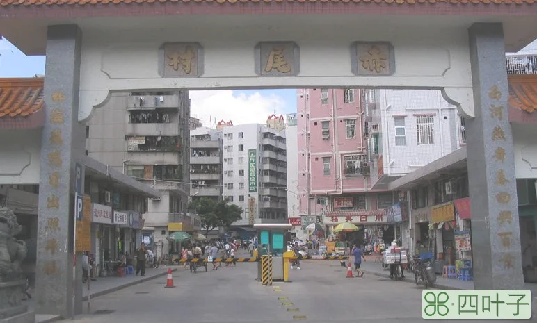 赤尾村(广东省深圳市福田区下辖村)