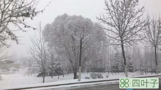 今晚陕西将迎雨雪天气陕西将迎降雨天气