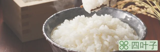 剩大米饭怎么做小饼(剩下大米饭怎么做饼)