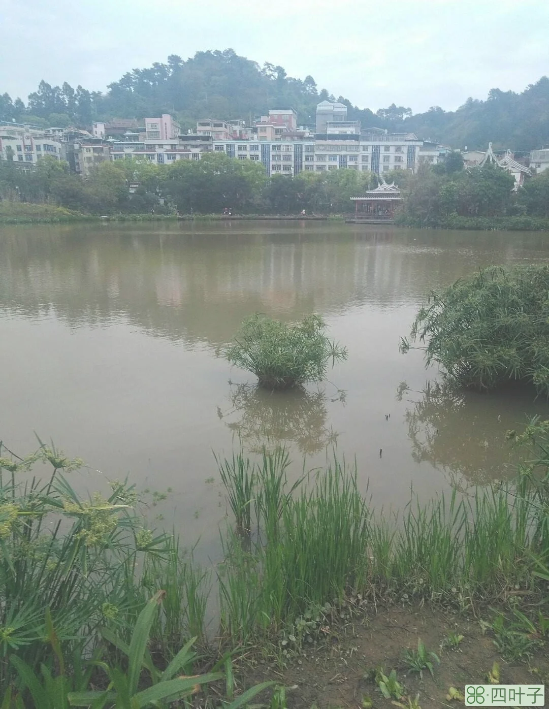 福建龙岩4月9号的天气如何龙岩4号天气预报