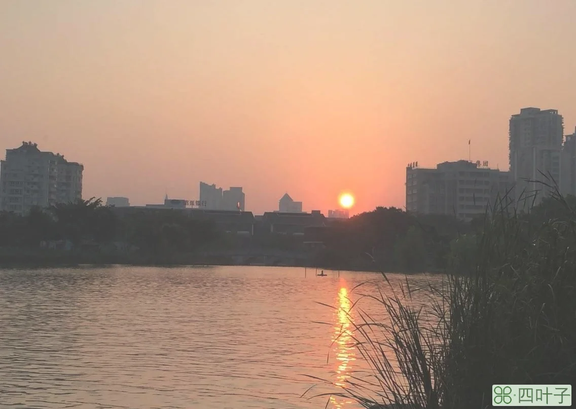 温州鹿城天气预报鹿城天气近5天天气