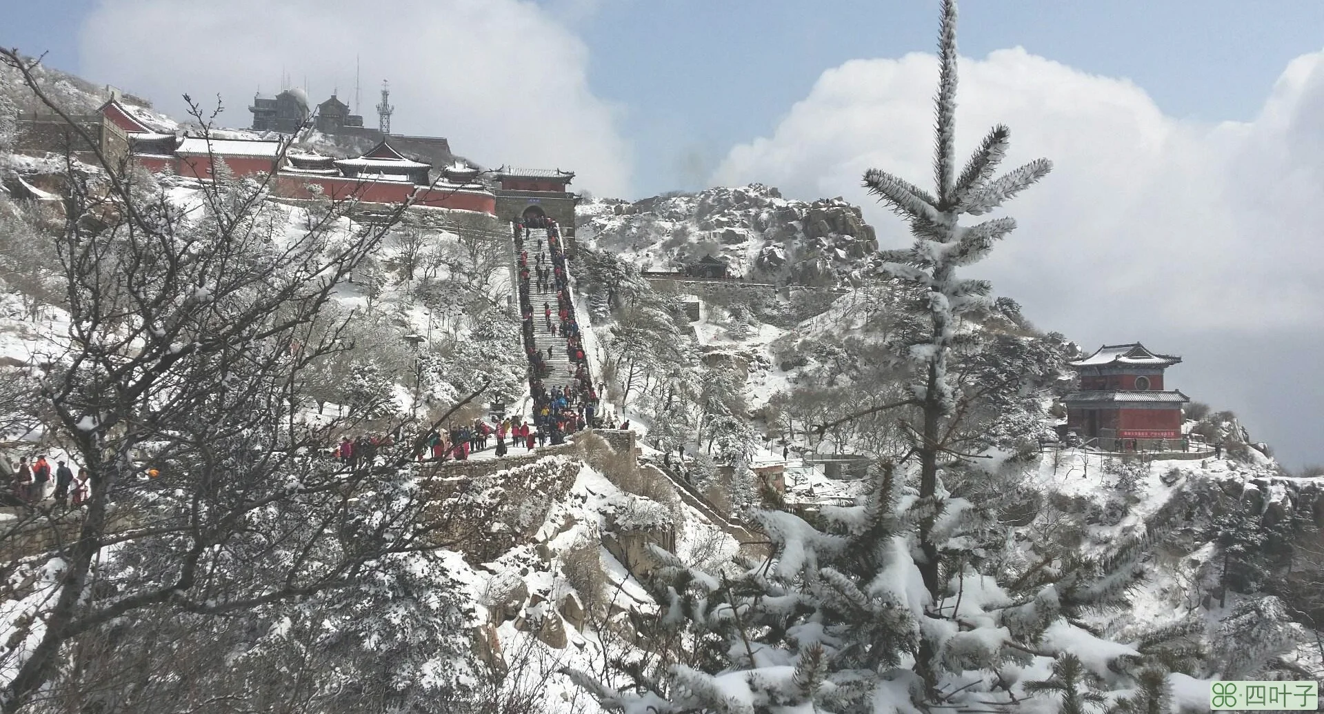 泰山天气预报40天泰山旅游攻略一日游