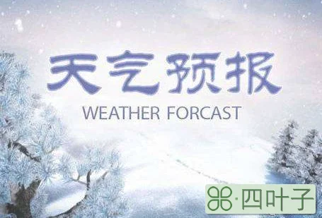 哈尔滨天气预报15天天气西宁天气