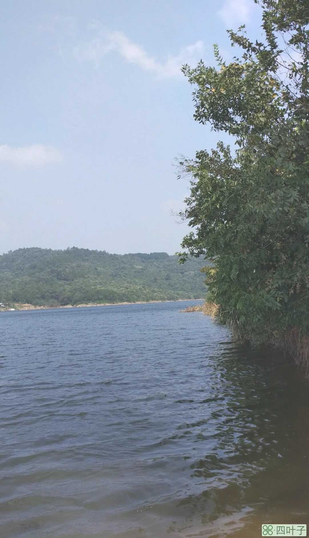 当阳天气60天湖北宜昌当阳天气