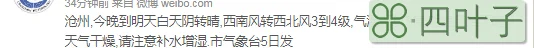 沧州天气15天的天气预报15天查询沧州地区天气预报15天