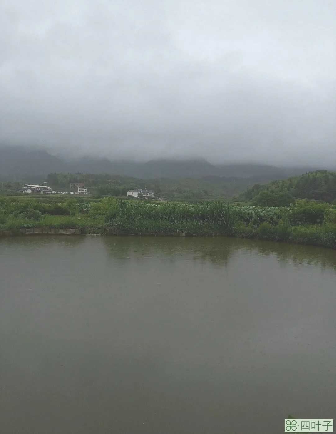 福建龙岩一年四季天气福建龙岩最近一星期的天气