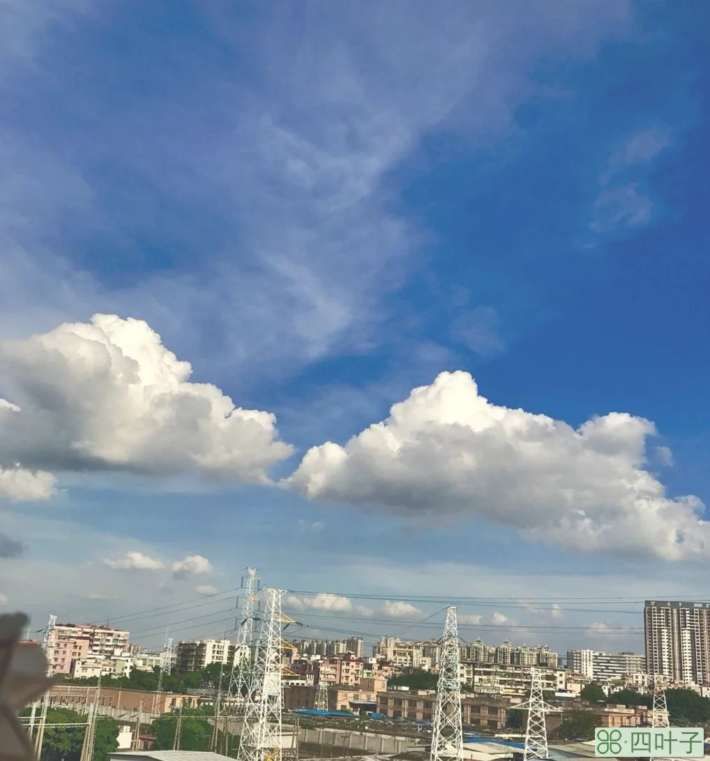 今日广州市天气预报珠海天气