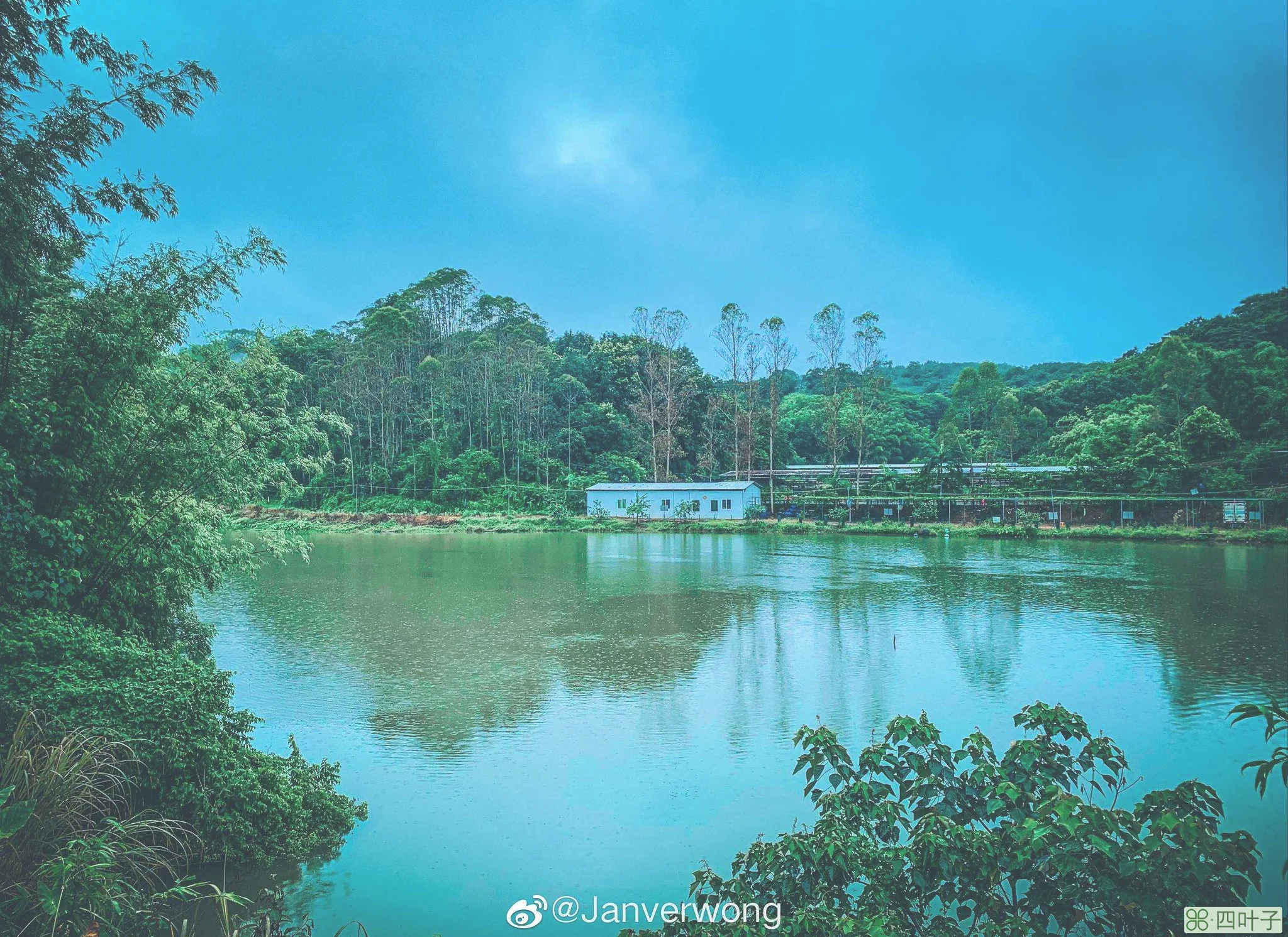 广州增城最新天气广州增城最新天气预报