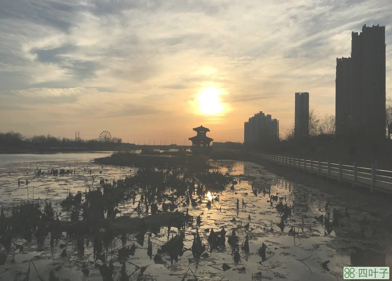 河北省邯郸市今天的天气预报河北邯郸疫情源头